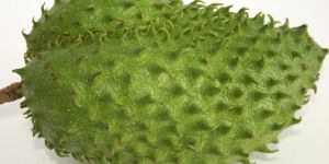 Graviola , Soursop
