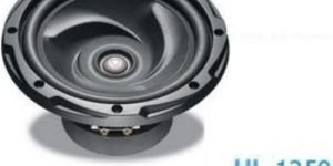 Car Woofer 1250