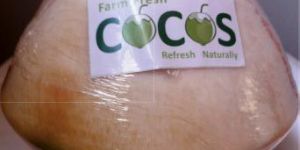 Trimmed Tender Coconut