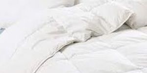 Cotton Comforters