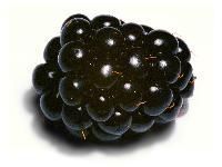 Raspberry Blackberry