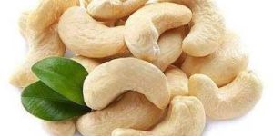 Cashew Nuts