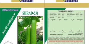 Hybrid Bottle Gourd Seeds