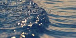 Decorative Wallpaper