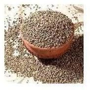 Bajra Seed