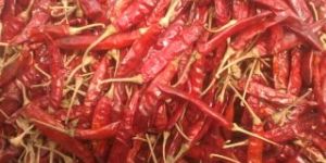 Dry Red Chilli