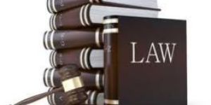 Legal and Para Legal Consultant