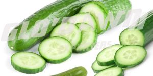 Fresh Cucumber
