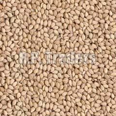 Natural Sesame Seeds