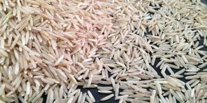 Pusa Brown Basmati Rice