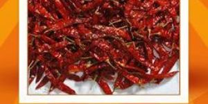 Guntur Dried Red Chilli