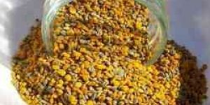 Bee Pollens
