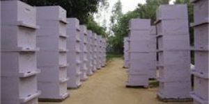 Wooden Beehives