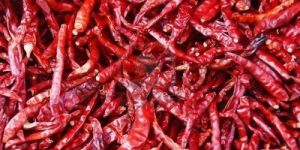 Dried Red Chilli