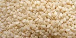 Mechanically Hulled Sesame Seeds