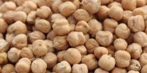 White Chickpeas