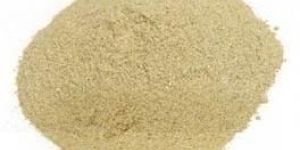 Prickly Pear Seeds Powder
