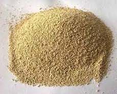 Dried Yeast