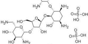 Neomycin Sulphate
