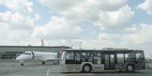 Low Floor City Buses