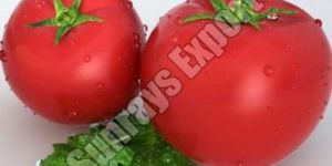 Fresh Tomato