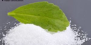 Natural Stevia Rebaudiana Extract