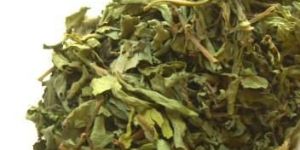 Stevia Dry Leaves