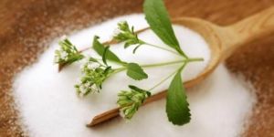 Stevia Extract Powder