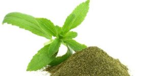 Stevia Leaves Powder