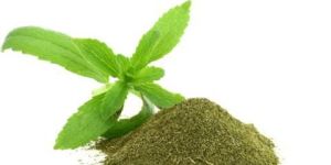 Stevia Leaves Powder Sweetened