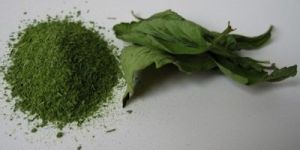 We Supply Stevia Leaves Powder Sweeter