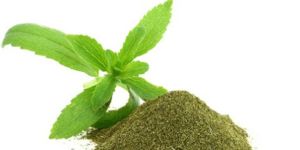 Stevia Leaves Powder Sweetness