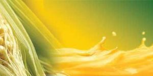 Corn Oil