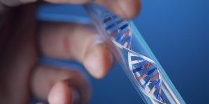 Clinical Testing Services