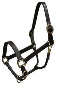 Horse Halters