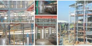 Edible Oil Refinery Plant