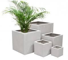 Plant Containers