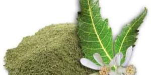 Neem Powder