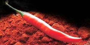 Red Chilli Powder