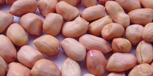 Husked Groundnuts