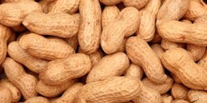 Shelled Groundnuts