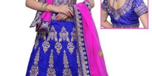 Silk Wedding Lehenga Cholis