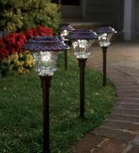 Solar Landscape Lights