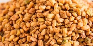 Fenugreek Seeds