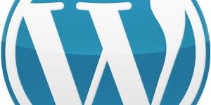 Wordpress Development Services