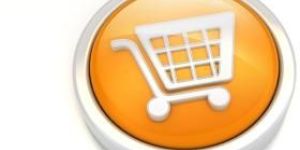 Ecommerce Web Development