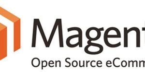 Magento Development Services