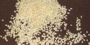 White Sesame Seeds