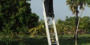 Wall Extension Ladder