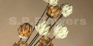 Decorative Wooden Sticks